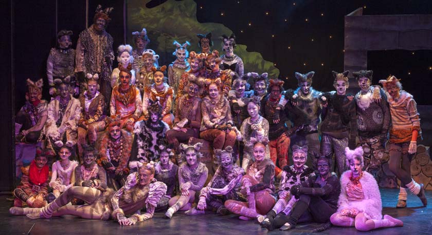 Drama - The cast of CATS